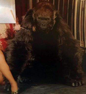 Gorillas in the Mist Costume